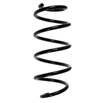 Ressort de suspension SPIDAN 56839