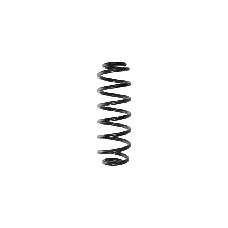Ressort de suspension SPIDAN 56847