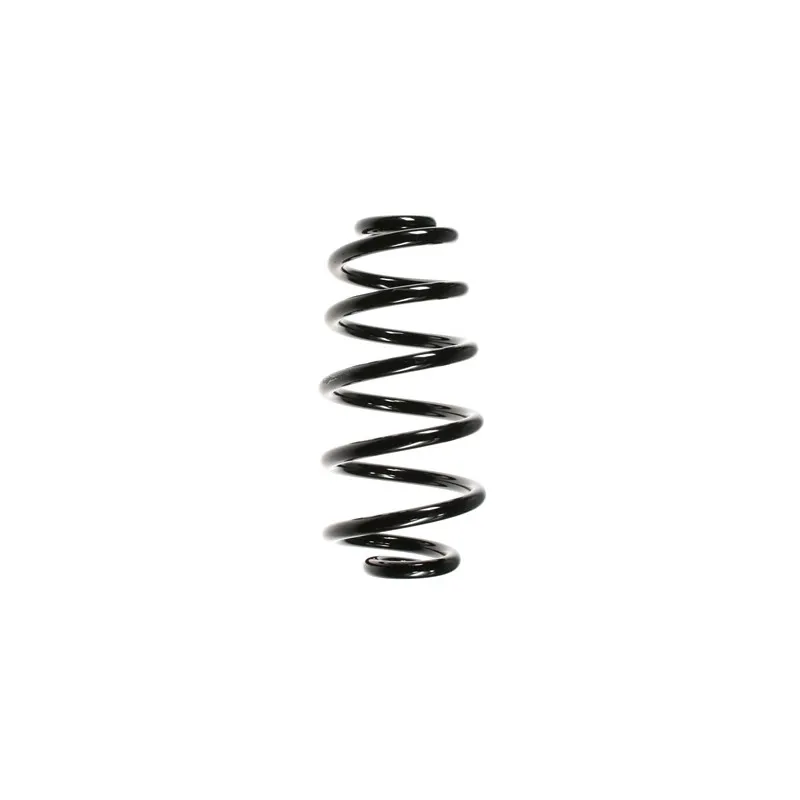 Ressort de suspension SPIDAN 56853