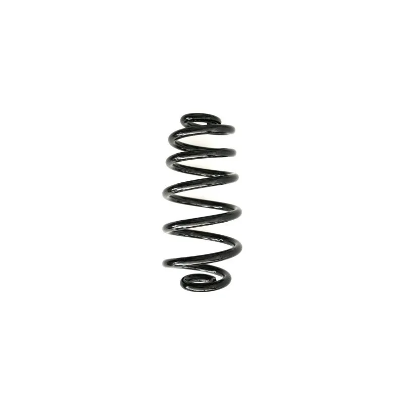 Ressort de suspension SPIDAN 56855
