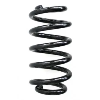 Ressort de suspension SPIDAN 56859