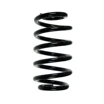 Ressort de suspension SPIDAN 56860