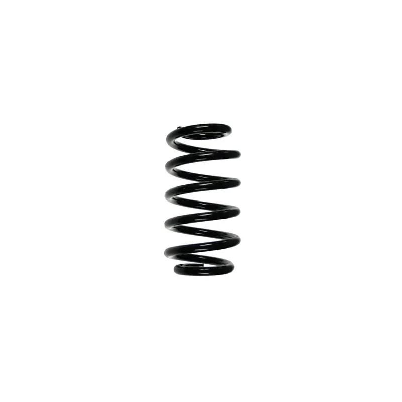 Ressort de suspension SPIDAN 56860