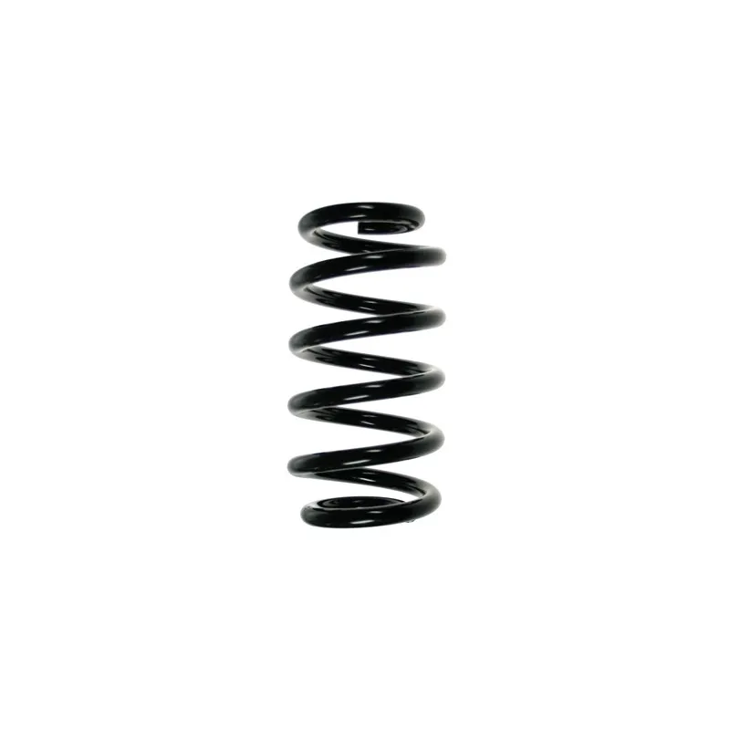 Ressort de suspension SPIDAN 56861