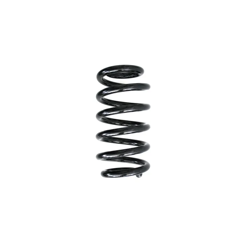 Ressort de suspension SPIDAN 56862