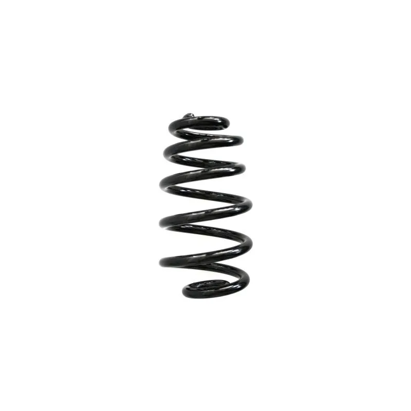 Ressort de suspension SPIDAN 56863
