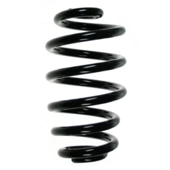Ressort de suspension SPIDAN 56864