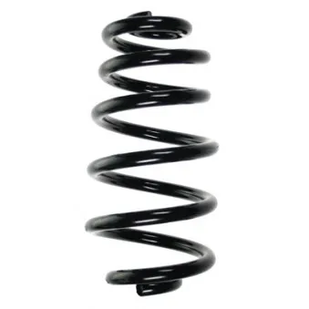 Ressort de suspension SPIDAN 56867