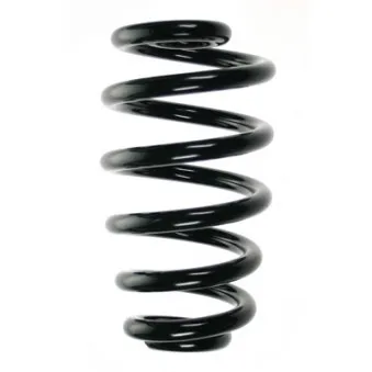 Ressort de suspension SPIDAN 56869