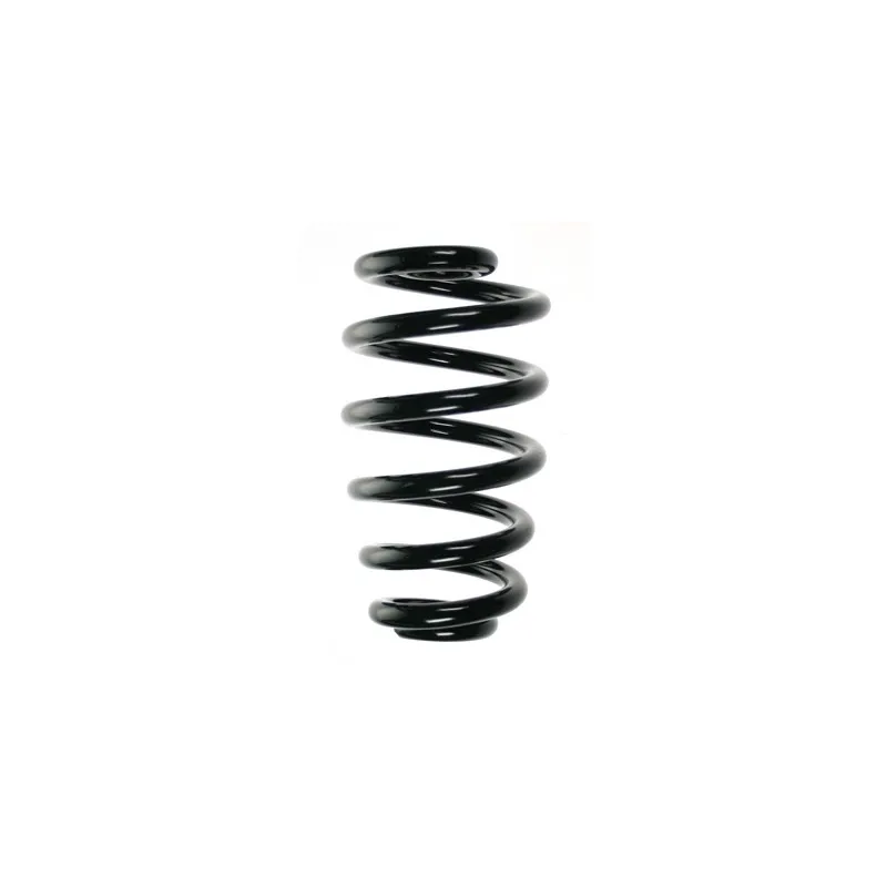 Ressort de suspension SPIDAN 56869