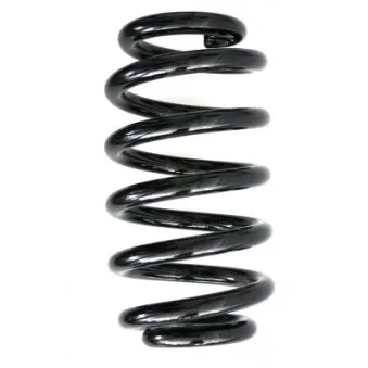 Ressort de suspension SPIDAN 56870