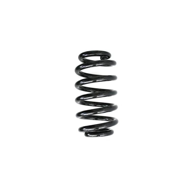 Ressort de suspension SPIDAN 56870