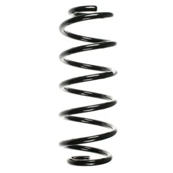 Ressort de suspension SPIDAN 56873