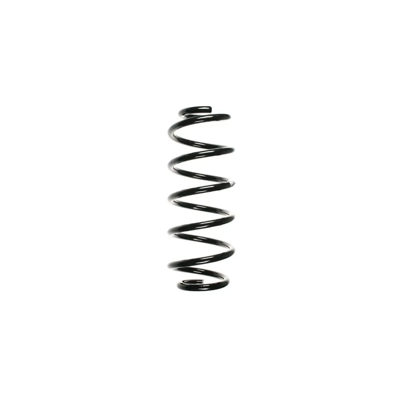 Ressort de suspension SPIDAN 56873