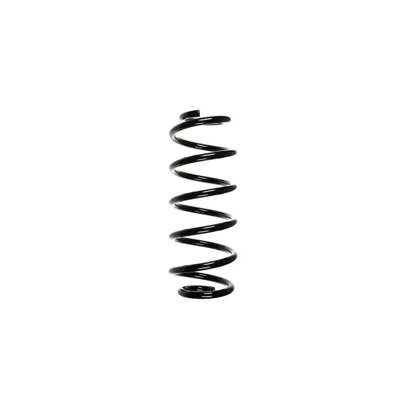 Ressort de suspension SPIDAN 56874