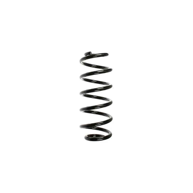 Ressort de suspension SPIDAN 56875