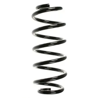 Ressort de suspension SPIDAN 56876