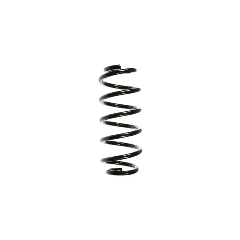 Ressort de suspension SPIDAN 56876
