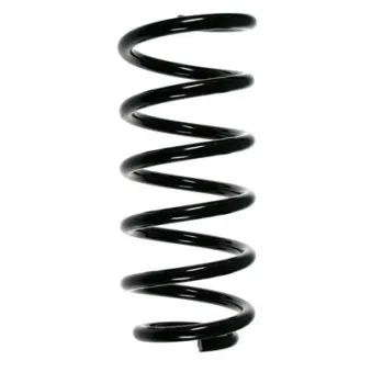 Ressort de suspension SPIDAN 56879