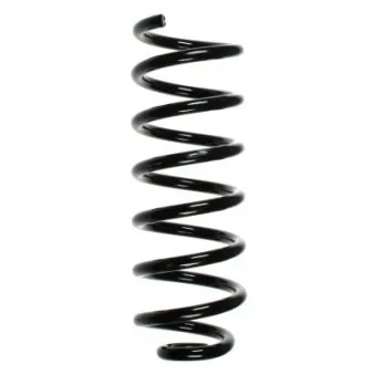 Ressort de suspension SPIDAN 56885