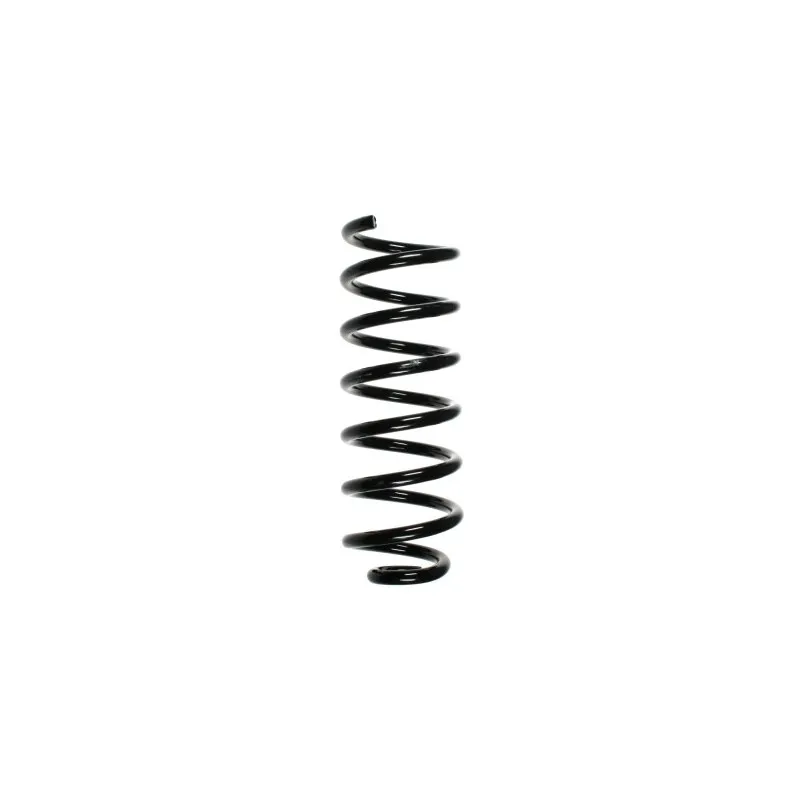 Ressort de suspension SPIDAN 56885
