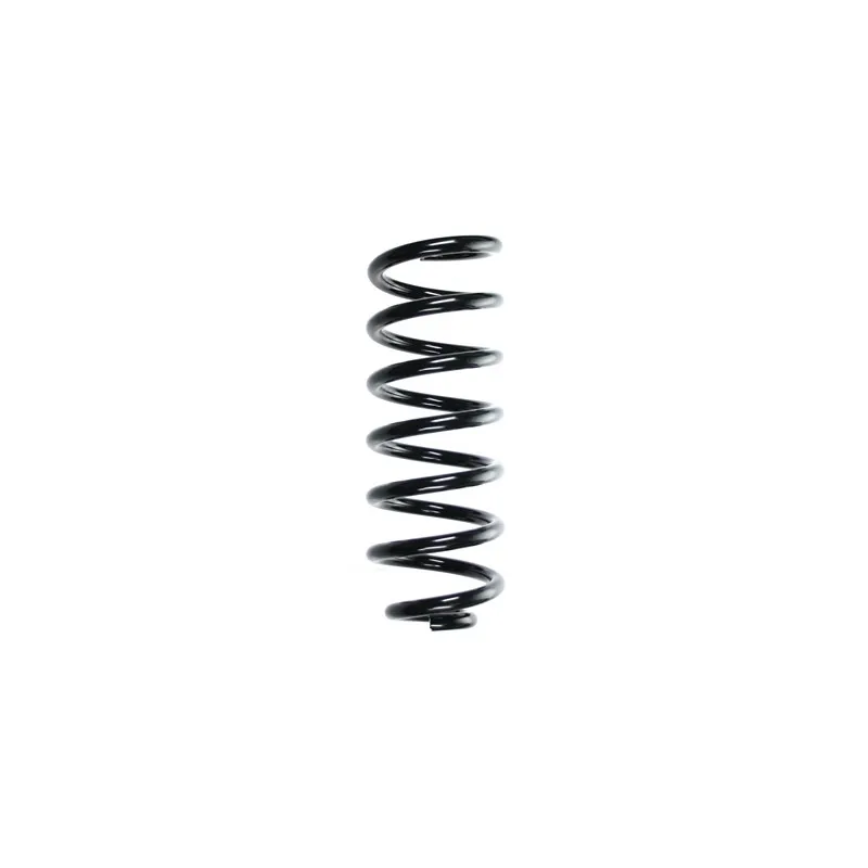 Ressort de suspension SPIDAN 56887