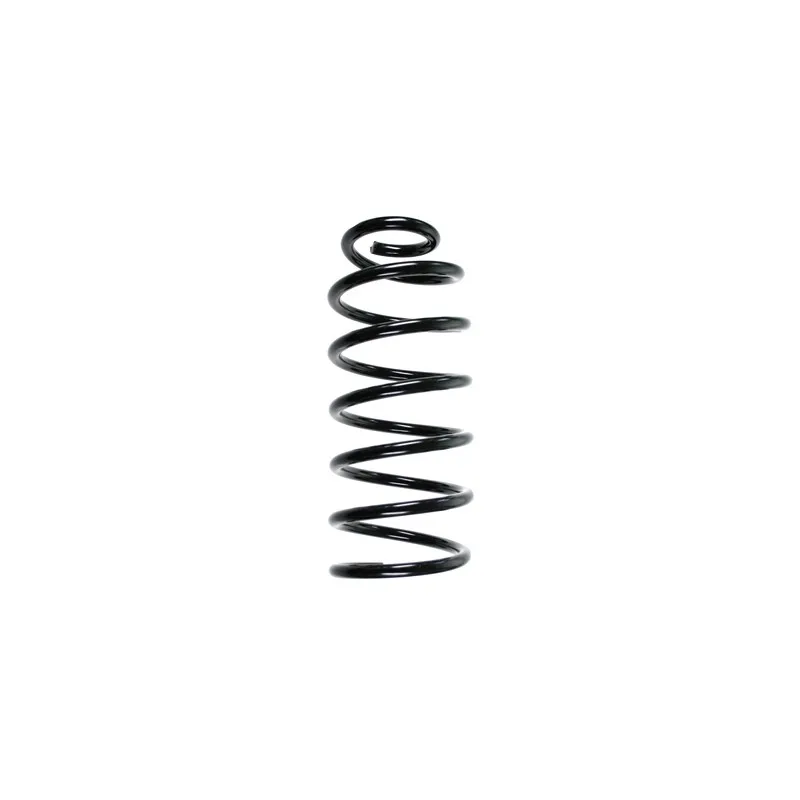Ressort de suspension SPIDAN 56890