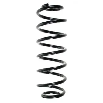 Ressort de suspension SPIDAN 56893