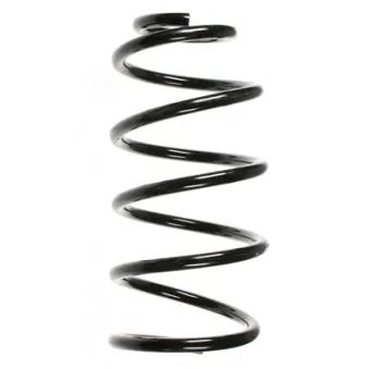 Ressort de suspension SPIDAN 56896