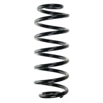 Ressort de suspension SPIDAN 56898