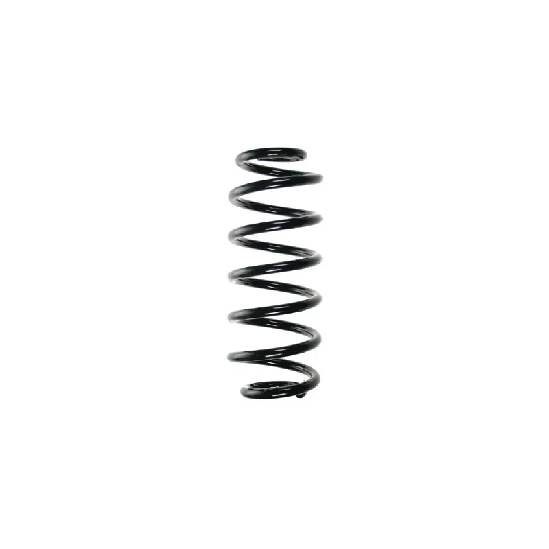 Ressort de suspension SPIDAN 56898
