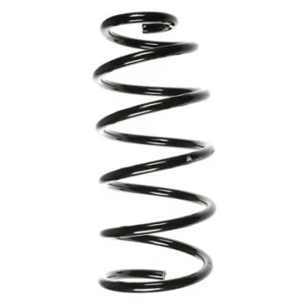 Ressort de suspension SPIDAN 56899