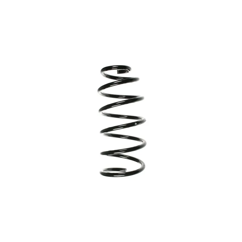 Ressort de suspension SPIDAN 56899