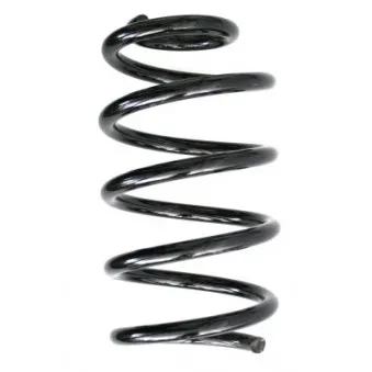 Ressort de suspension SPIDAN 56901