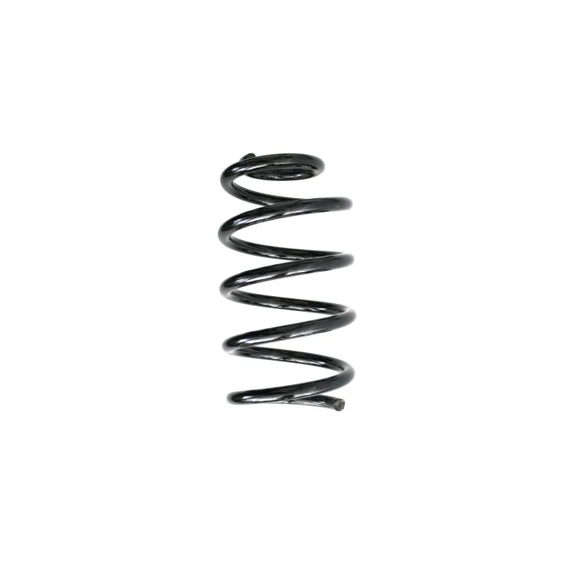 Ressort de suspension SPIDAN 56901