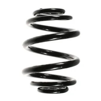 Ressort de suspension SPIDAN 56902