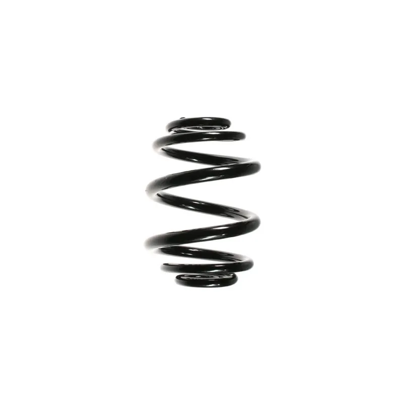 Ressort de suspension SPIDAN 56902