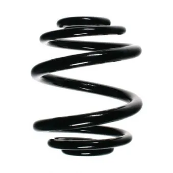 Ressort de suspension SPIDAN 56904