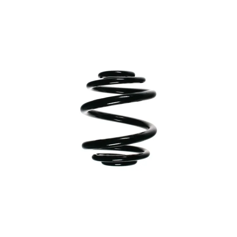 Ressort de suspension SPIDAN 56904