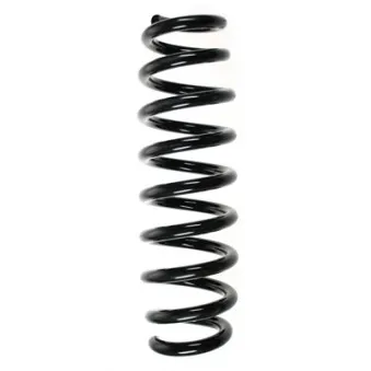 Ressort de suspension SPIDAN 56918