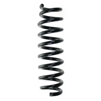 Ressort de suspension SPIDAN 56919