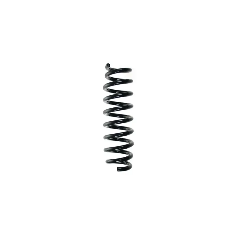 Ressort de suspension SPIDAN 56919