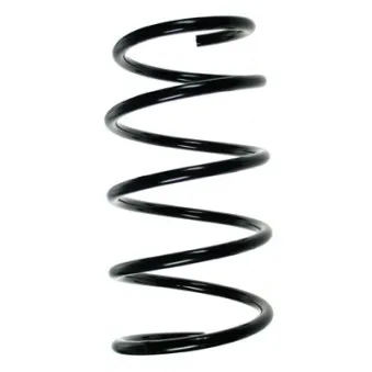 Ressort de suspension SPIDAN 56920