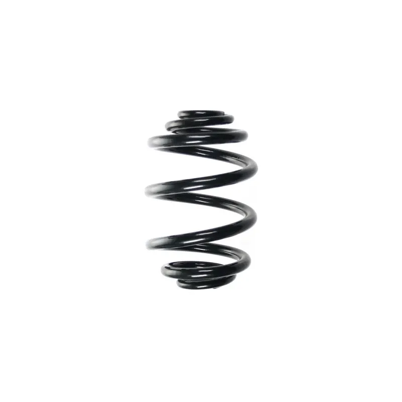 Ressort de suspension SPIDAN 56921