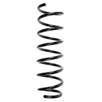 Ressort de suspension SPIDAN 56938