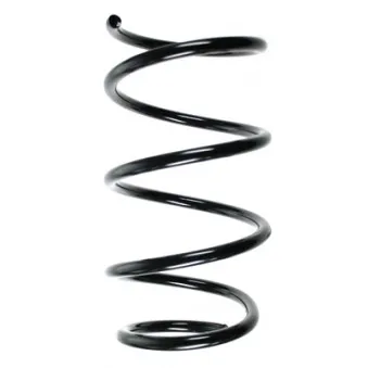 Ressort de suspension SPIDAN 56944