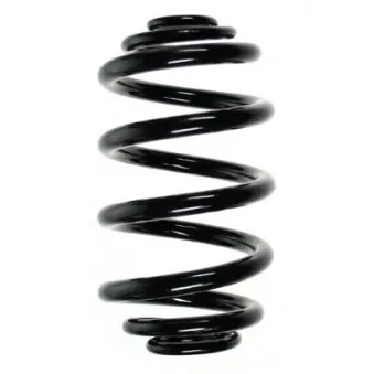 Ressort de suspension SPIDAN 56962
