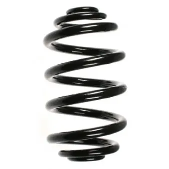 Ressort de suspension SPIDAN 56963