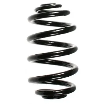 Ressort de suspension SPIDAN 56964