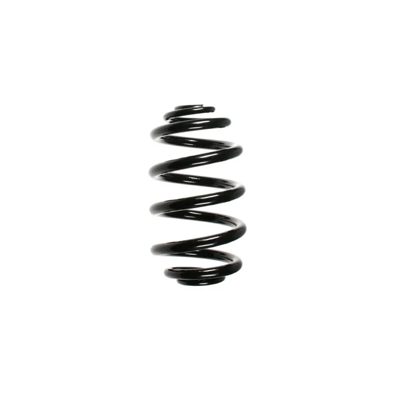 Ressort de suspension SPIDAN 56964
